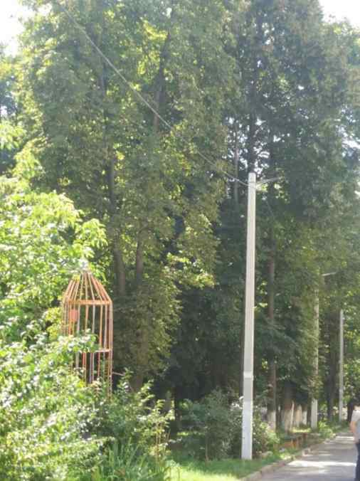 у рівному на кн. острозького реконструють освітлення 2019 рік