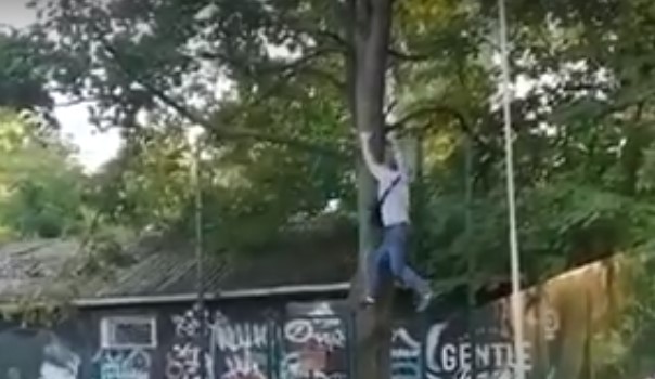 чоловік перелазить через паркан у рівному