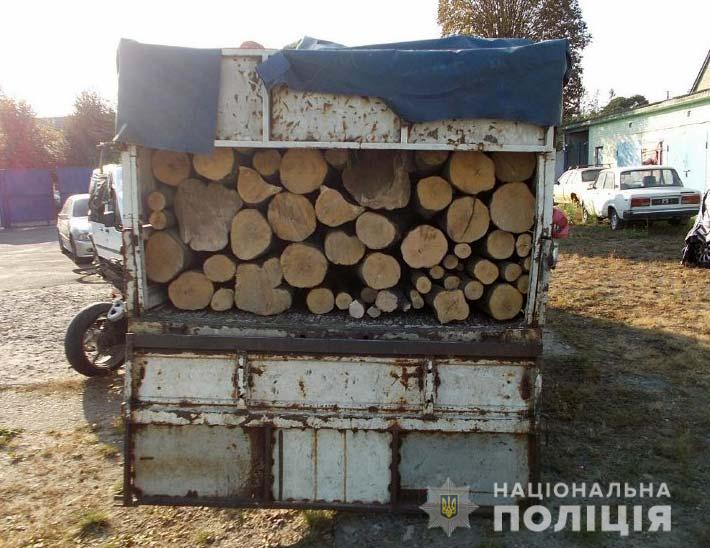 ліс незаконна вирубка