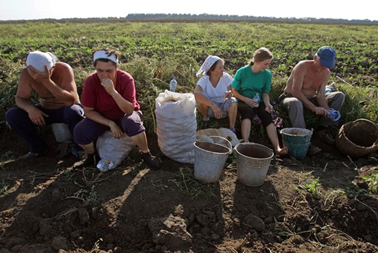 Зеленський хоче відмінити мараторій на продаж землі