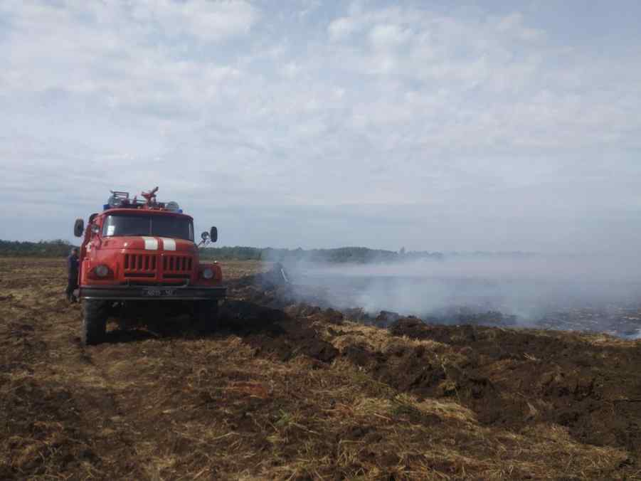 горять чагарники на зарічненщині