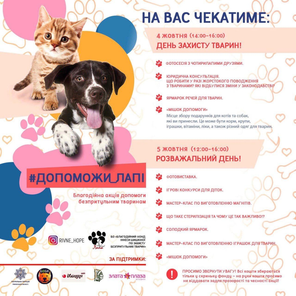 рівне собаки