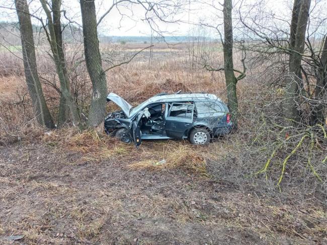 На Рівненщині авто, що злетіло у кювет, застрягло між деревами